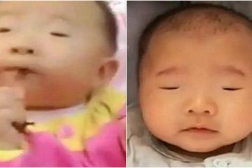 Con sinh 10 ngày vẫn không chịu mở mắt, nhận kết quả khám của bác sĩ bố mẹ rất sốc