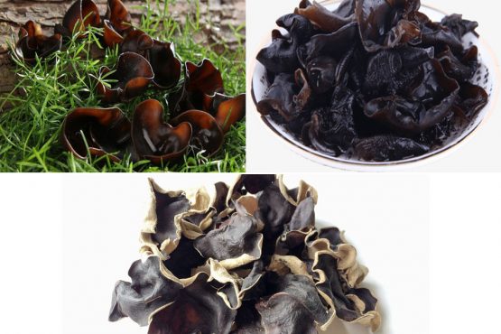 Mộc nhĩ (nấm mèo) bổ sung sắt, điều trị trĩ và lỵ ra máu