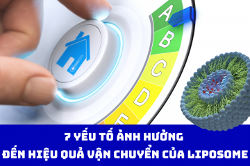 7 yếu tố ảnh hưởng đến hiệu quả vận chuyển của liposome